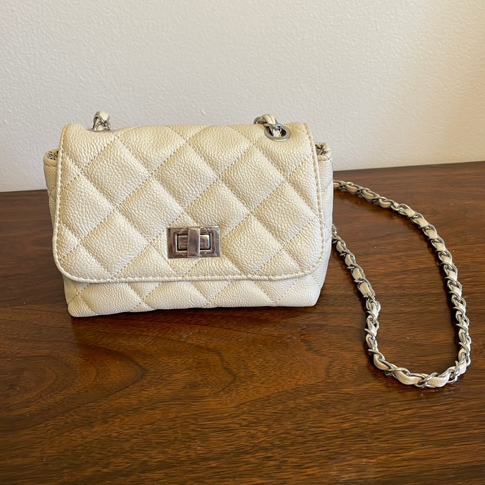 Steve Madden Small Purse